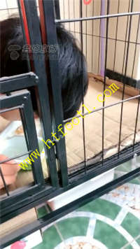 bsdut2f552b.jpg