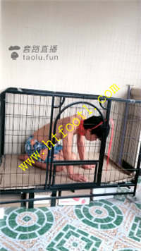 voecw33wgq2.jpg