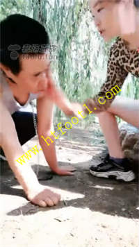 ah5o3fz1hhm.jpg