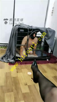 mxakj1tsk0f.jpg