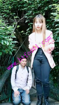 gkqeev31bly.jpg