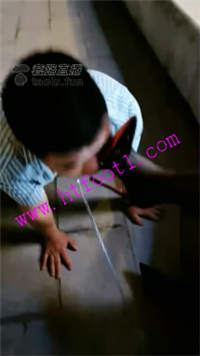 nbfq4tft1ud.jpg