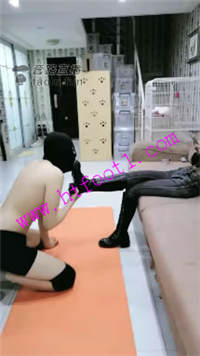 1cuf31y4ph5.jpg