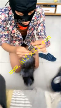 a54eljjn2yz.jpg