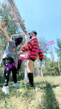 p5u3yqfaalm.jpg