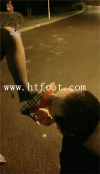 seqavt3fcn5.jpg