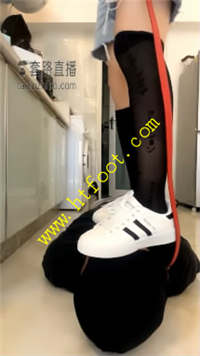 vxia41d23n3.jpg