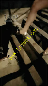 hsp2dzar1cr.jpg