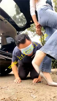 mq21whywtfm.jpg