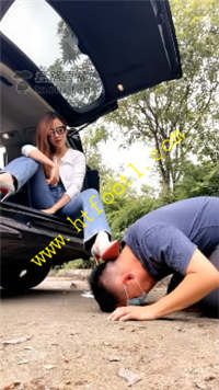 n20vv31p4va.jpg