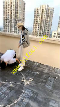 q44pvhuyeue.jpg