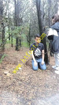 yf21tafxbg0.jpg