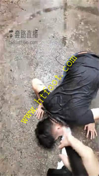 1n1wco1t54m.jpg