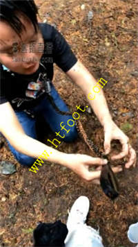 1xagl3jbgp4.jpg