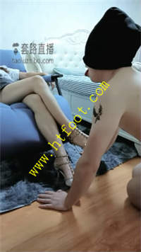 gc0agq213pr.jpg
