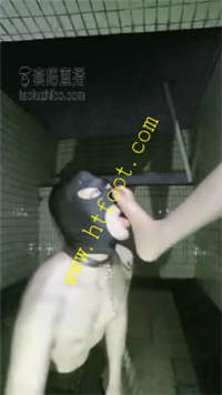 03koxhrcadh.jpg