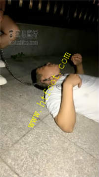 wt0cvfslkz0.jpg