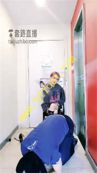 h4l41nigpht.jpg