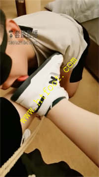 2m51d1vetcr.jpg