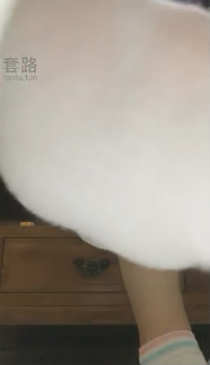nskyjoxs32i.jpg