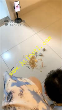 teo01gjtguu.jpg