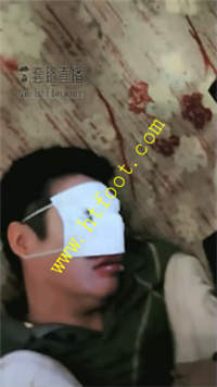o1rjuppwhug.jpg