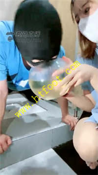 jb0gqmk2a3d.jpg