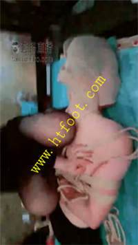 e3gvq300gcm.jpg