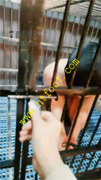 avlnozqsxca.jpg