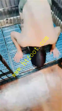 tcbw4vqn4tx.jpg