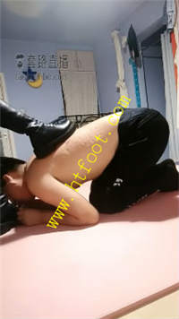 kpawldld10x.jpg