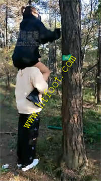 e5h1qupl21h.jpg