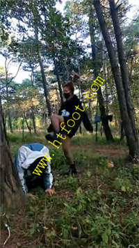 wyxey0um3in.jpg