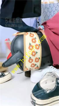 apshlnhpaua.jpg