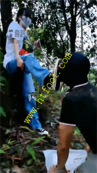 wwhhmpe2di2.jpg