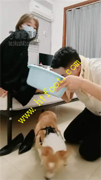 tc3gxwapq04.jpg