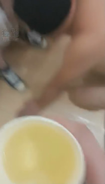 d0gdgnkfinc.jpg