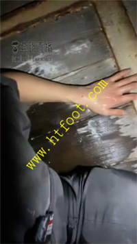 wwwk0fu0auq.jpg