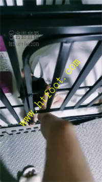 subghvad1wu.jpg