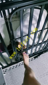 tknzqe0an42.jpg