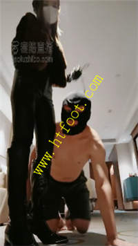 lsqy11lejjz.jpg