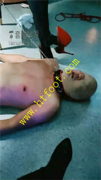 rogx5gi3gkf.jpg
