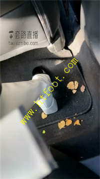 wu3o2h4ptb5.jpg