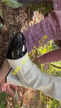 zv2qbge4vex.jpg