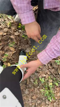 k4j4vyk3sfq.jpg
