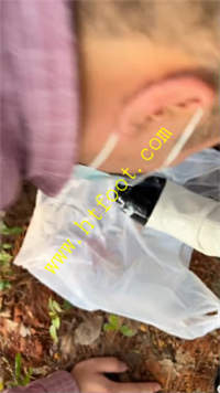 ipzwkpspoc0.jpg