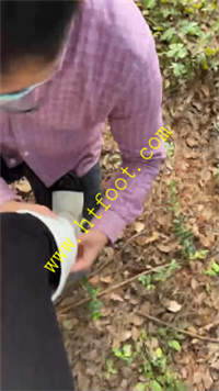 d4w3bca31ek.jpg