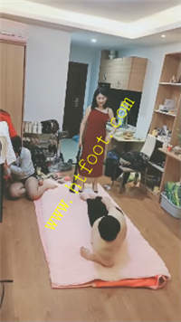 yfyxeme0txt.jpg