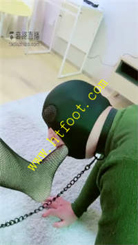 1wpllflonn2.jpg