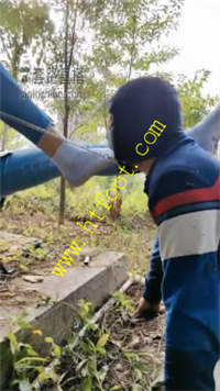 zpothfvpo0k.jpg